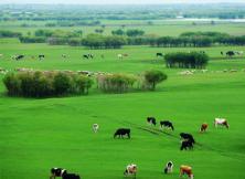 哈爾濱滿洲里長白山呼倫貝爾大草原撫順空調(diào)9日