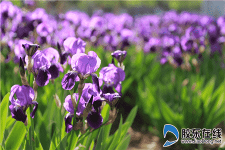 微信圖片_20200502082312