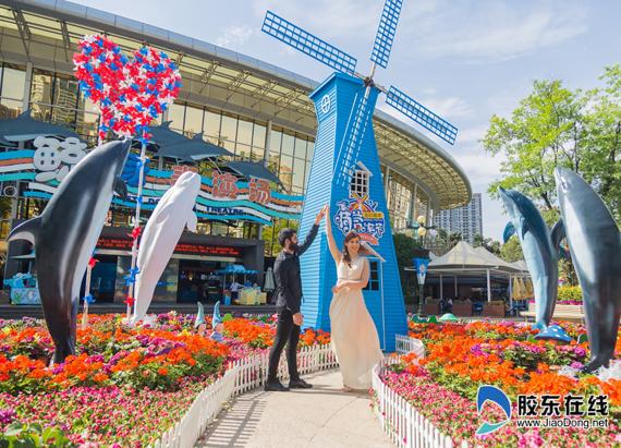 海昌“海洋花卉節(jié)”全國(guó)啟幕 春暖花開和海洋有個(gè)約會(huì)