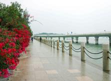 隨享廈門系列.半自助游雙飛四日