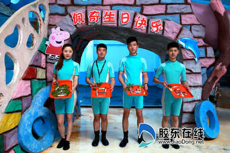 工作人員給海豚寶寶準備禮物