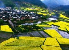 【三月游廬山】廬山秀峰+三疊泉+景德鎮(zhèn)+婺源篁嶺雙飛5日休閑游