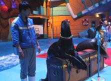 交運研學 | 鯨鯊館、南山救援、匠心少年手工課、無人機科普體驗，總有一項是你想要的！