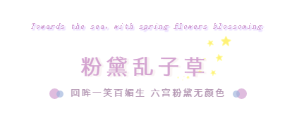 粉”上煙臺!家門口也有網紅粉黛啦 今年秋天在這里盛開 粉”上煙臺!家門口也有網紅粉黛啦 今年秋天在這里盛開