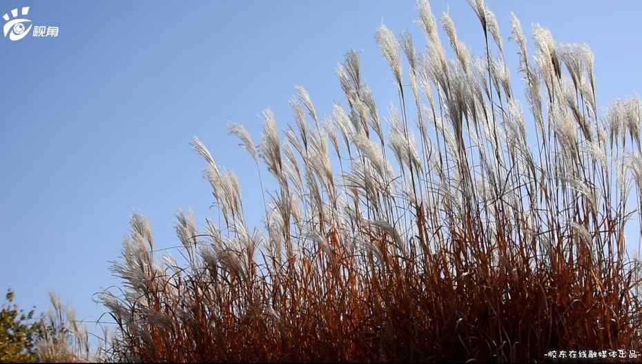 煙臺印象·初冬∶冬日的暖陽 溫暖入心