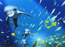 【十一大連】發現王國老虎灘公園雙船四日 【十一大連】發現王國老虎灘公園雙船四日