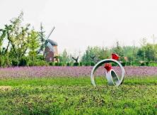 沁楠香休閑島戶外拓展體驗二日游