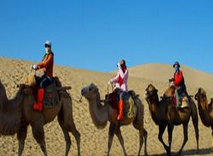 嘉華旅游---大美青海休閑之旅---- 青海湖、塔爾寺、貴德、蘭州雙飛五日游