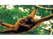 濟南野生動物世界、九頂塔民俗園大巴三日游