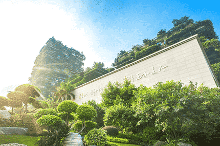 碧桂園發起“鳳凰通”鄉村經紀人招募活動