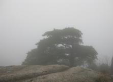 【20年春節】廬山+三清山+婺源+滕王閣雙飛五日游 【20年春節】廬山+三清山+婺源+滕王閣雙飛五日游