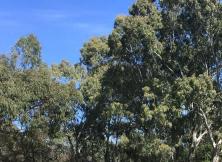 廈門(mén)鼓浪嶼、永定土樓半自行純玩雙飛5日 C