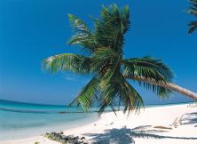 3月：純海玩家海南雙飛6日游