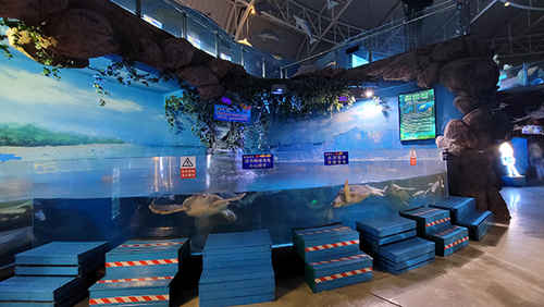 海龜展區