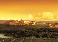 蓬萊君頂葡萄 釀酒休閑游 每人贈送3斤 葡萄釀酒