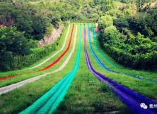 竹泉村 地下畫廊  雪山彩虹谷 采茶親子純玩二日游