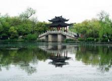 端午節(jié)：揚(yáng)州瘦西湖、東關(guān)古鎮(zhèn)、馬可波羅、李中水上森林公園三日游