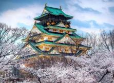 【5月游日本】日本東京、箱根、奈良、大阪、神戶、本州+九州全景六日游