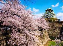 6月1、8、15、22、29日 臻享日本本州雙飛6日游