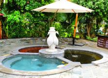 開業(yè)特促~滴水灣溫泉+草莓采摘一日游