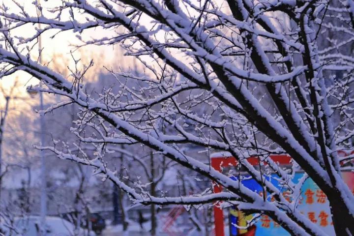 牟平雪景刷爆朋友圈 “雪窩子”終于實至名歸 牟平雪景刷爆朋友圈 “雪窩子”終于實至名歸