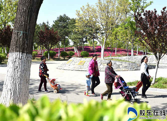 201905090838519417_副本