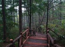 蒙山、竹泉村、地下畫廊2日游