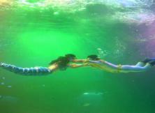 煙臺周邊：蓬萊海底世界一日游（天天發）