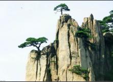 【9月游黃山】九華山+大美黃山+第一秀水千島湖+桃花源里西遞、山水九華純玩雙飛六日游