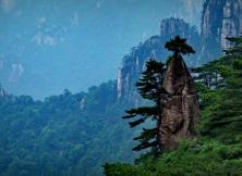 【暑假游黃山】醉美婺源+險秀黃山+桃花源里西遞+第一秀水千島湖、湖光山色純玩雙飛五日游