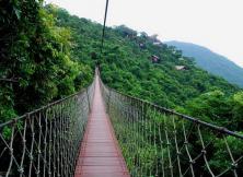 HI海島雨林5天4晚 浪漫之旅 專為愛海的人量身定制 HI海島雨林5天4晚 浪漫之旅 專為愛海的人量身定制