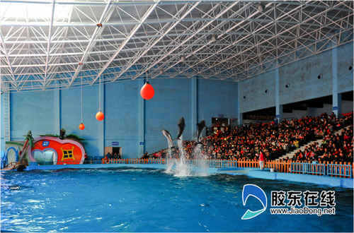 海洋極地世界海豚表演3