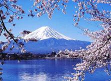 日本東京、大阪、 京都、 富士山、溫泉雙飛6日游（特價）