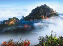 【三月游武當山】武漢黃鶴樓、夜游襄陽古城 、深度游玩武當山、武漢大學賞櫻花雙飛五日游 【三月游武當山】武漢黃鶴樓、夜游襄陽古城 、深度游玩武當山、武漢大學賞櫻花雙飛五日游