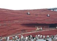 “遇美*雨林星空”昆明 西雙版納四飛六日