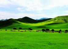 【暑假游草原】河北皇家承德避暑山莊、木蘭圍場(chǎng)、穿越塞罕壩、國(guó)家1號(hào)風(fēng)景大道、塞外明珠烏蘭布統(tǒng)大草原+古北水鎮(zhèn)+草原民俗項(xiàng)目雙動(dòng)五日游