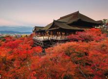 【匠心和風】本州6日游