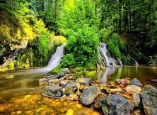 花海尋蹤 百花彩谷與您相約！山東半島最大花海蓬萊艾山華美綻放