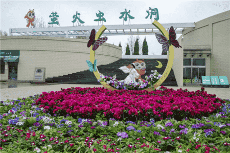 擁抱自然 放飛夢想 臨沂人游沂水 這家5A景區(qū)只要90元