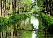 【國慶假期】品泰州早茶，游瘦西湖美景，賞水上森林氧吧，逛濕地公園大巴三日游.