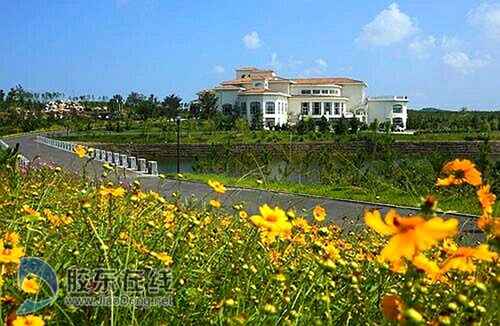 煙臺(tái)鄉(xiāng)村游恰逢其時(shí) 踏青賞花休閑醉游人(組圖)