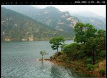 招虎山杜鵑花+風鈴節一日游