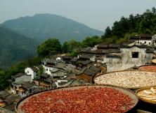 【9月游廬山】廬山+三清山+景德鎮(zhèn)+婺源篁嶺+滕王閣紅典雙飛五日游