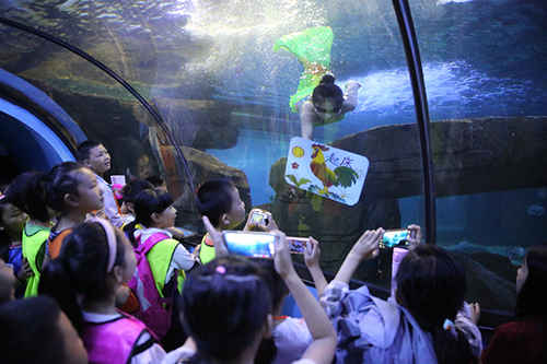 夜宿海洋館美人魚叫早