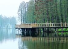 【2021五一假期】揚(yáng)州瘦西湖、李中水上森林公園、荷蘭花海、歐風(fēng)花街雙飛3日游 【2021五一假期】揚(yáng)州瘦西湖、李中水上森林公園、荷蘭花海、歐風(fēng)花街雙飛3日游