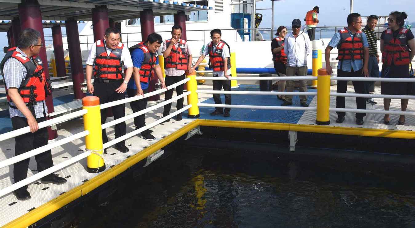 游客正在海洋牧場觀光拍照休閑的一組照片。牛立志攝