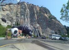 【2021煙臺周邊游】威海西霞口野生動物園一日游 【2021煙臺周邊游】威海西霞口野生動物園一日游