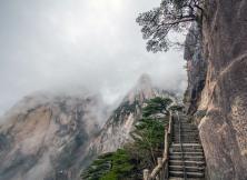 【春節(jié)假期】大美黃山+西遞+木坑竹海+徽州古城屯溪老街風(fēng)情徽州純玩雙飛五日游