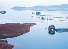 經典小江南，大美千島湖---- 蘇州、杭州、千島湖龍川灣雙湖雙船雙水鄉特色休閑六日游